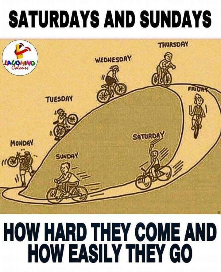 Funny Truth