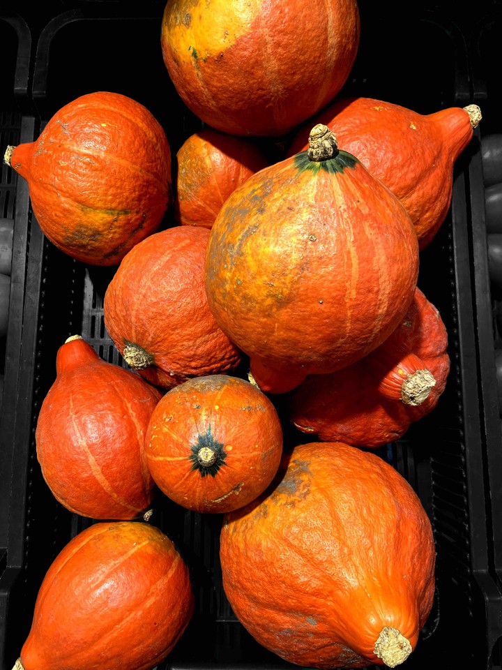 autumn presents
