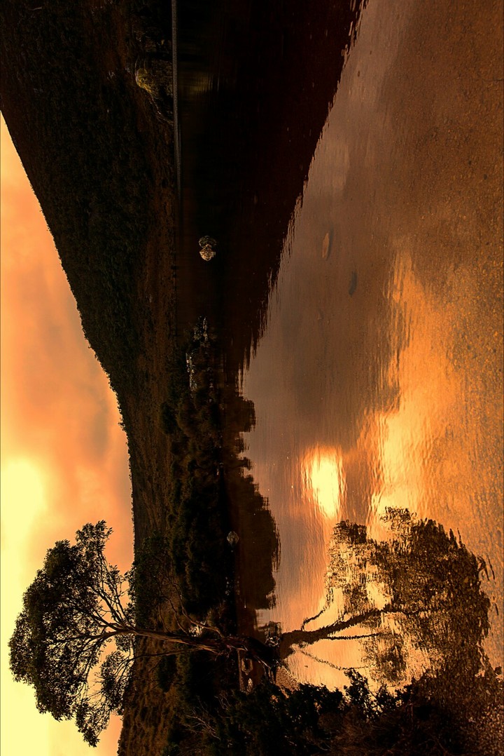 Golden Reflections