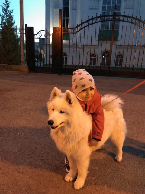 -Can I ride you ??? ...