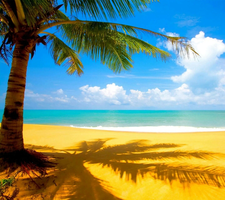 Beach