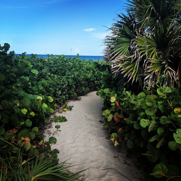 Walk to the Beach