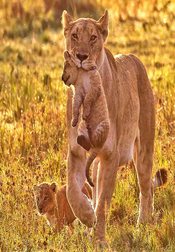 A Lift Home from MOM