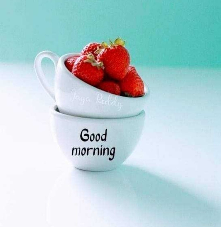 good morning ???
