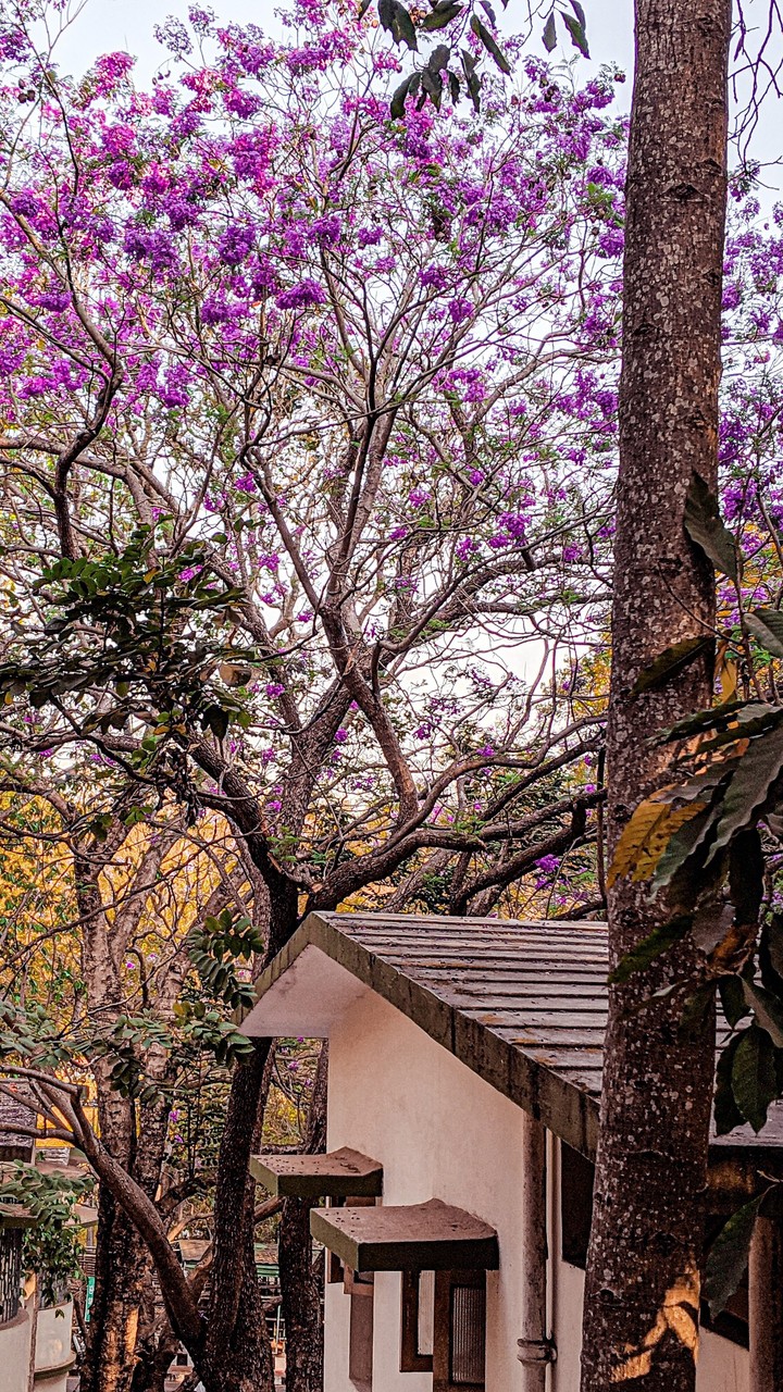 Spring on the mountains