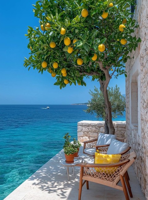 Citrus, Bitter_orange, Fruit