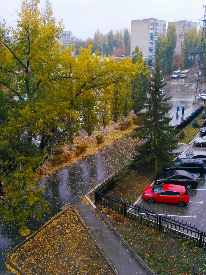autumn