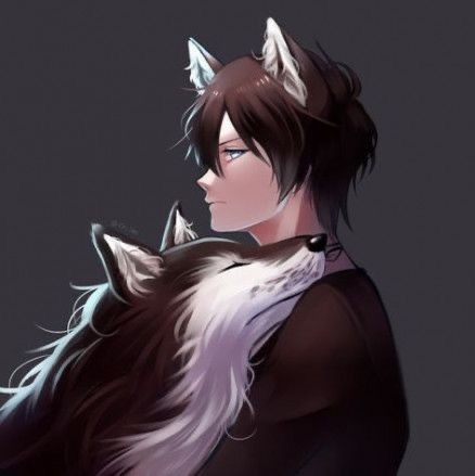wolf/pet