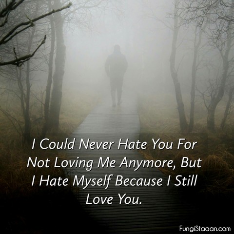 love