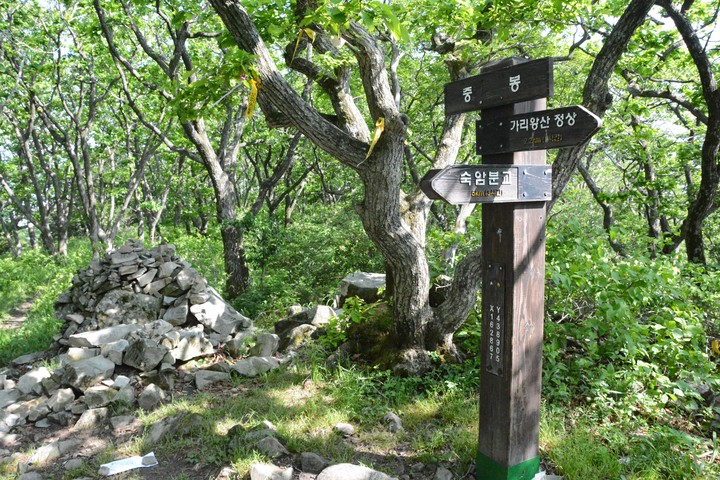 산이미지