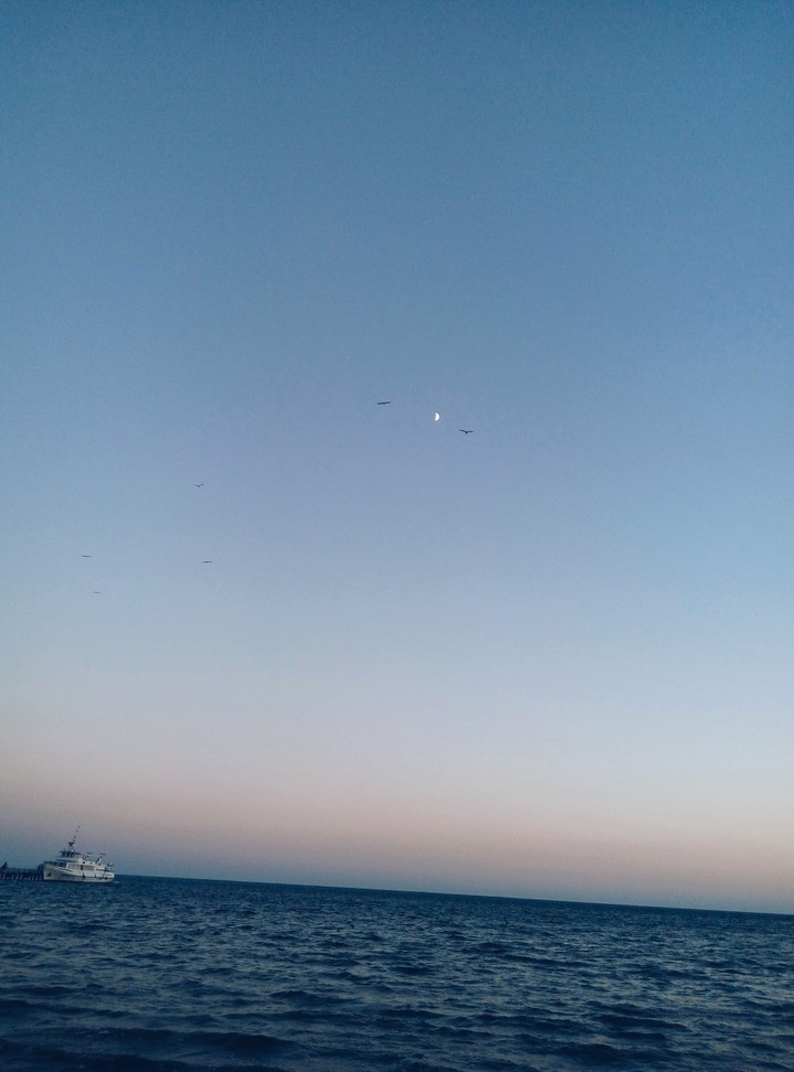 eve sea