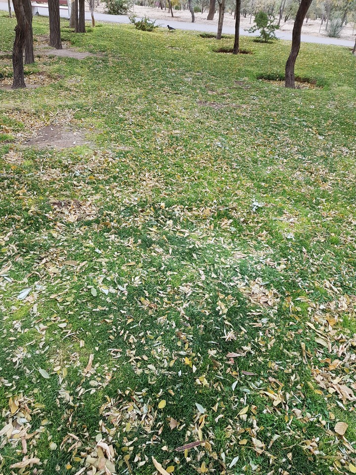 autumn