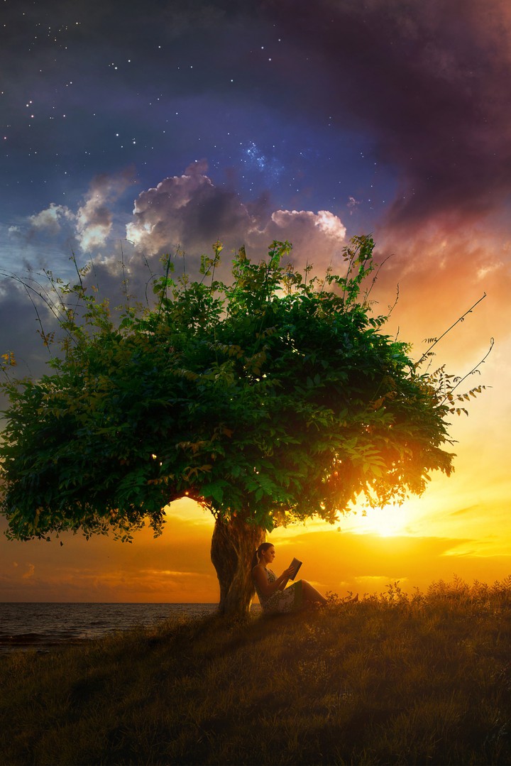natureza