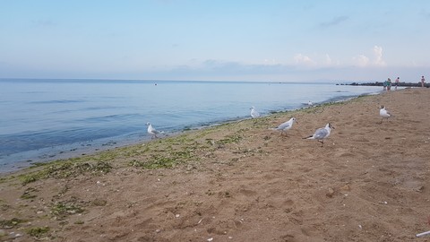 seaside