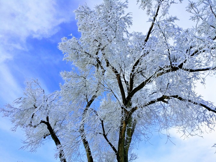 winter is trying to stick around