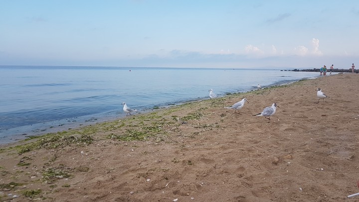 seaside