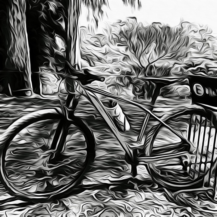 bike rockhopper