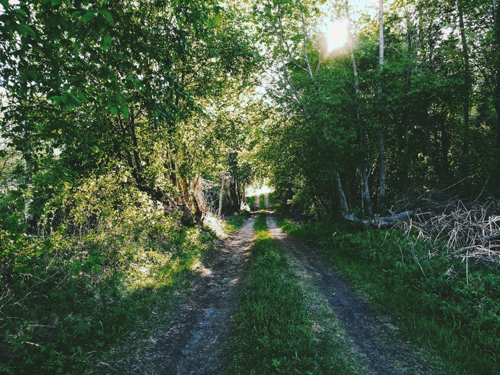 Green path