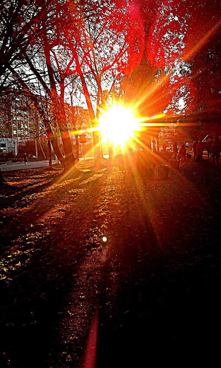 ♡SuN♡