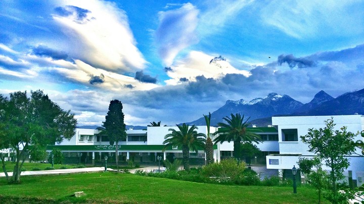 My university