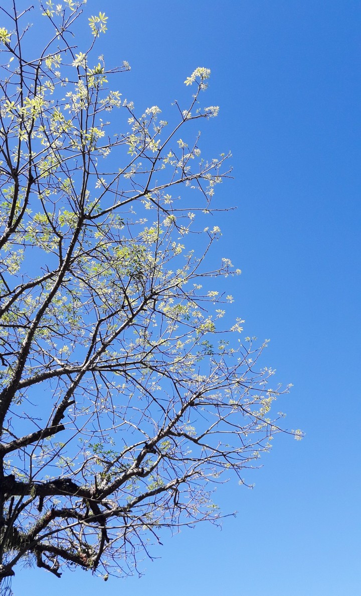 Natureza