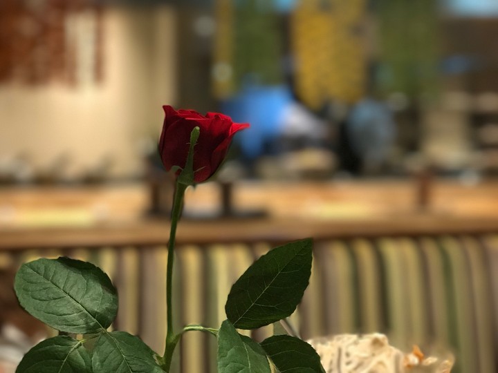 rose