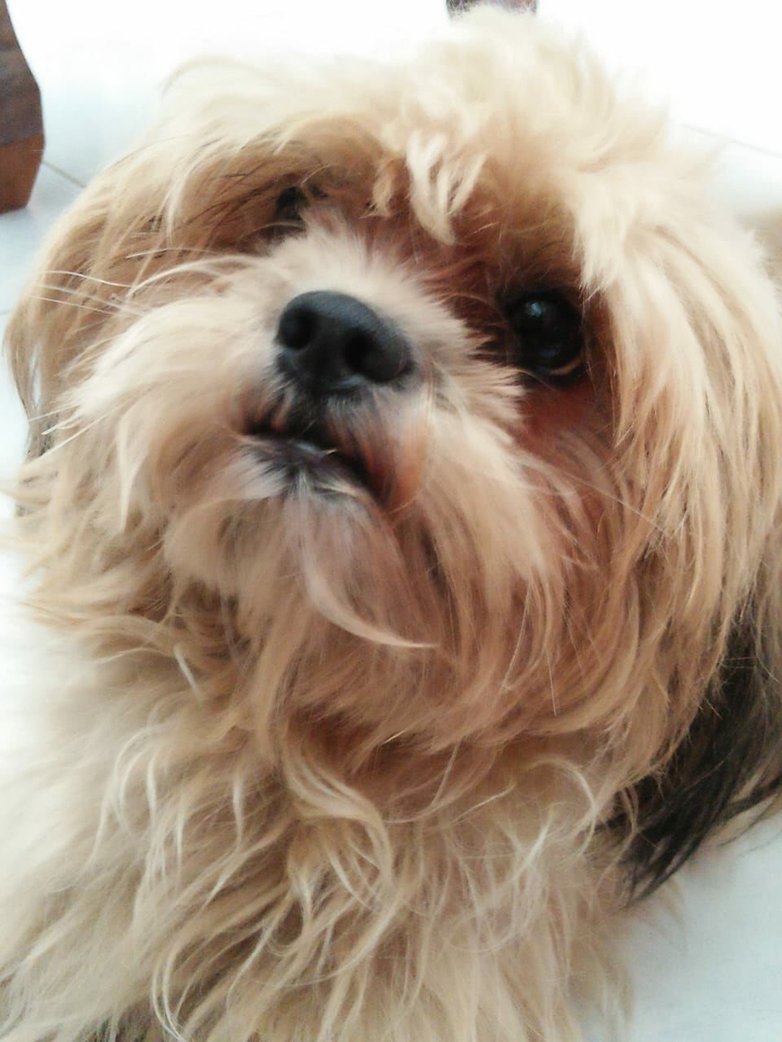 Kichi