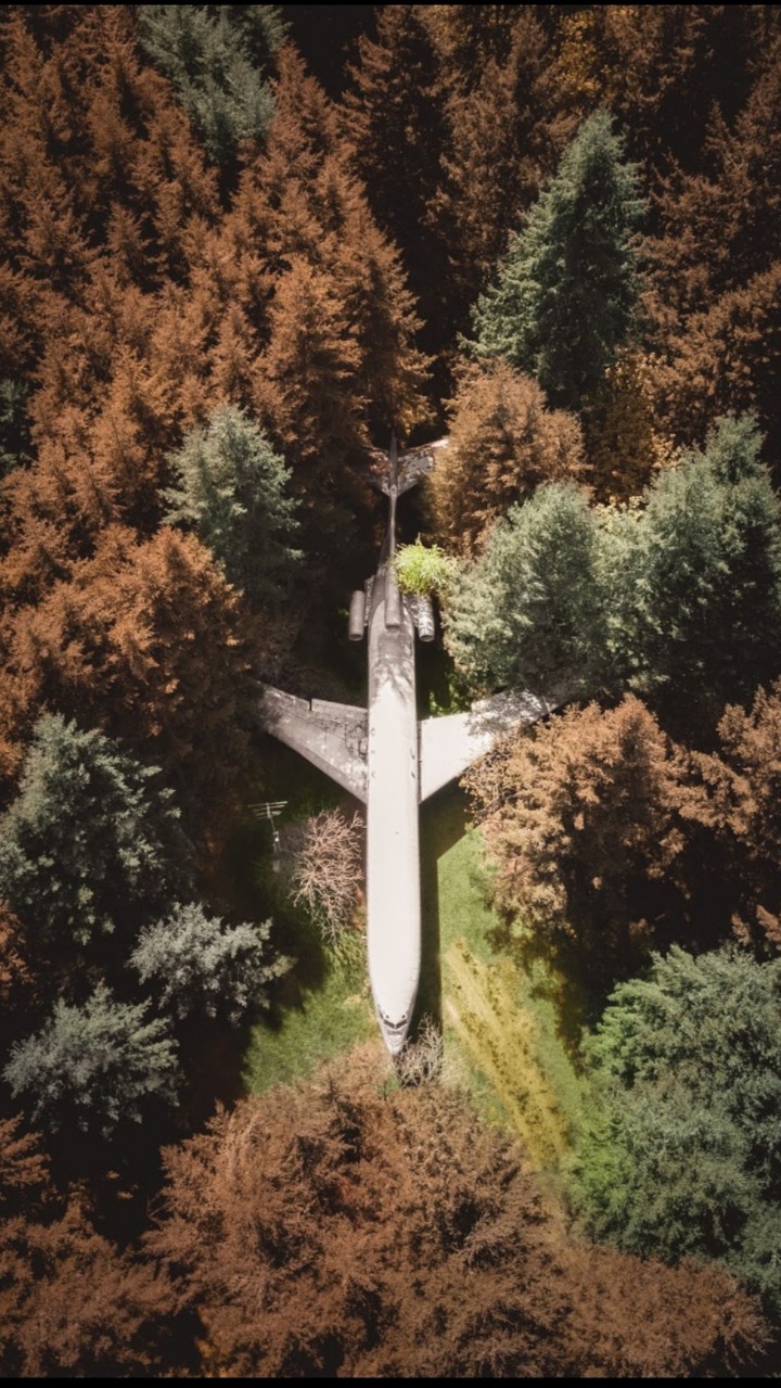 Airplane Home