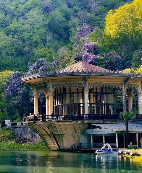 vegetation, Architecture duvar kağıtları