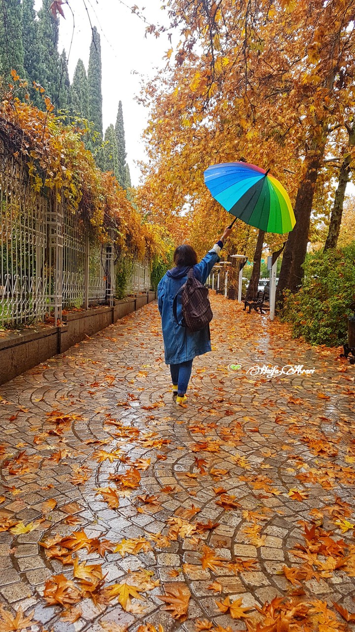 rain