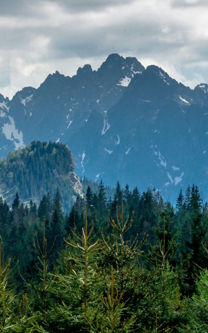 nature