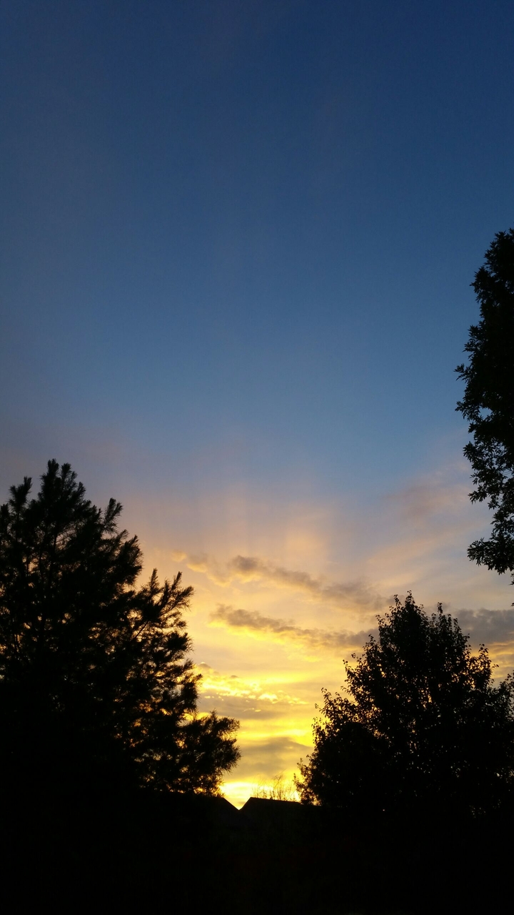 Georgia Sunset