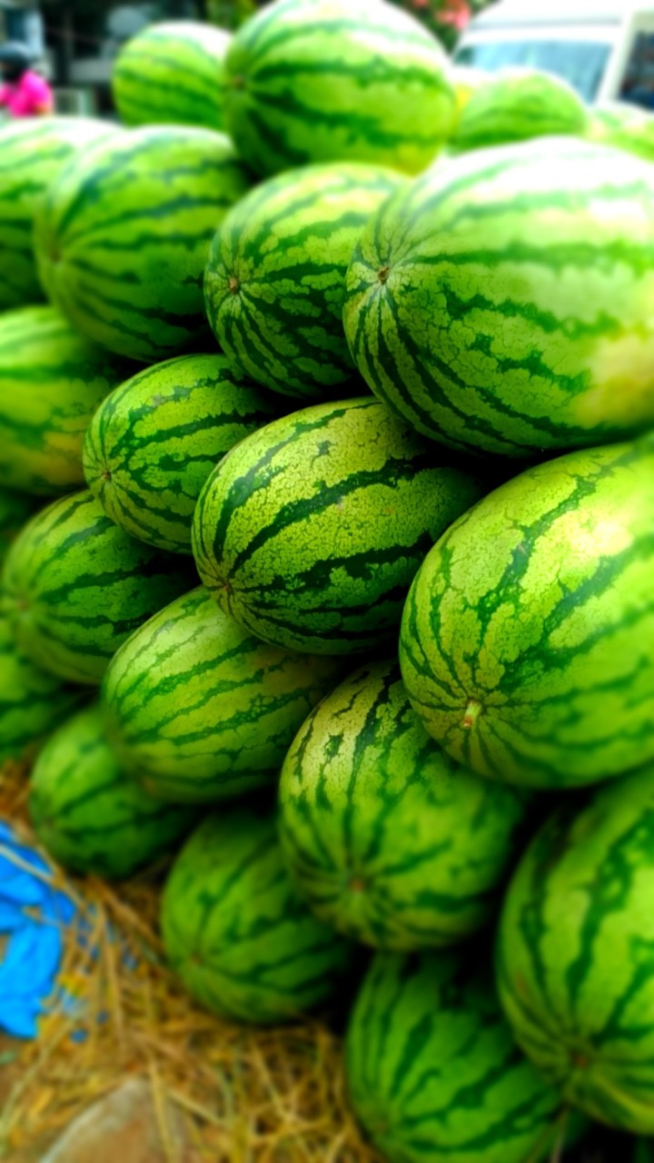 fruits