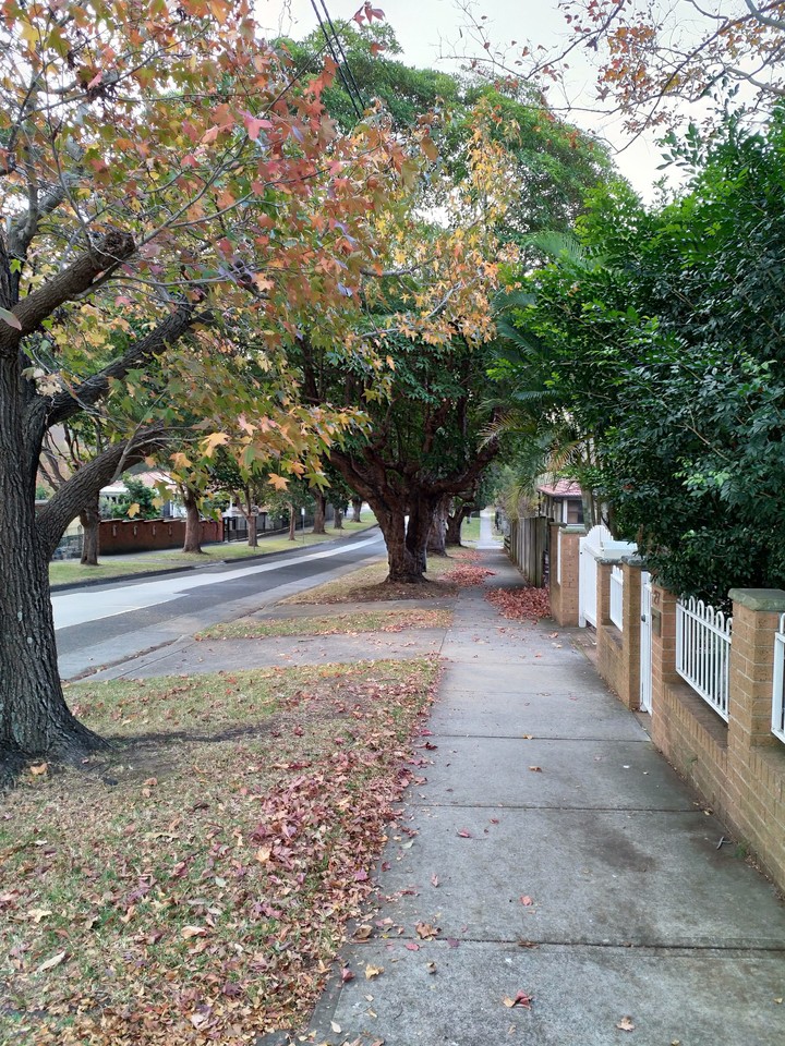 Autumn in Chatswood, Sydney