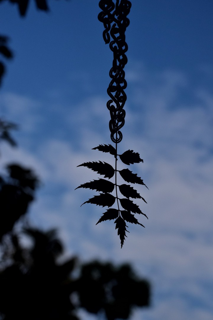In every change, in every falling leaf there is some pain,