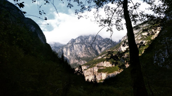 nature