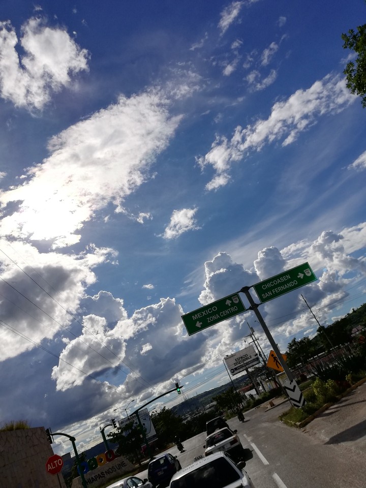 Tardes