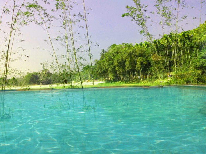 Natural swimming pool
