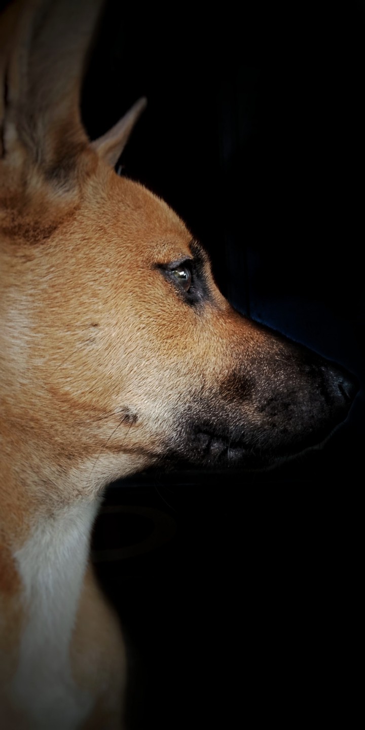 jiku