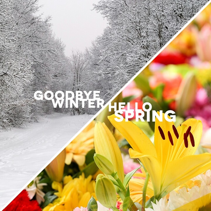 Goodbye winter / Hello spring