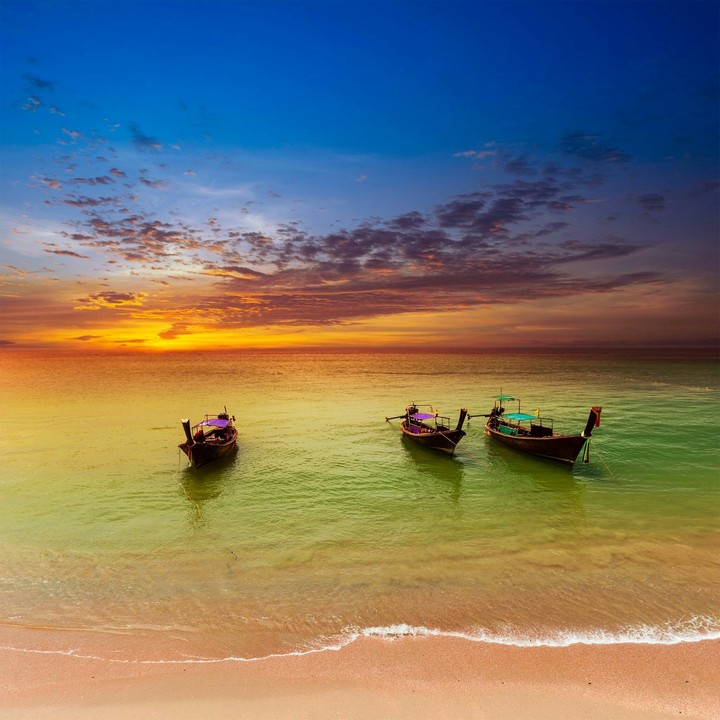 paradise