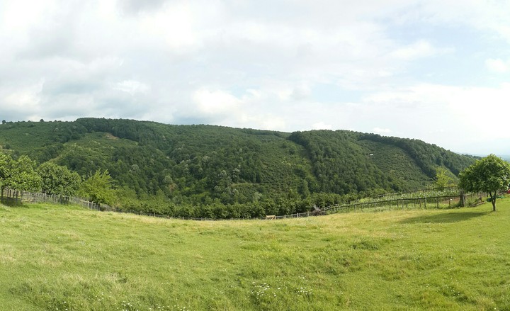 home