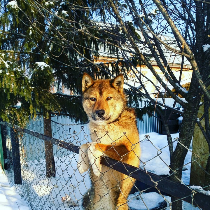 тайфун