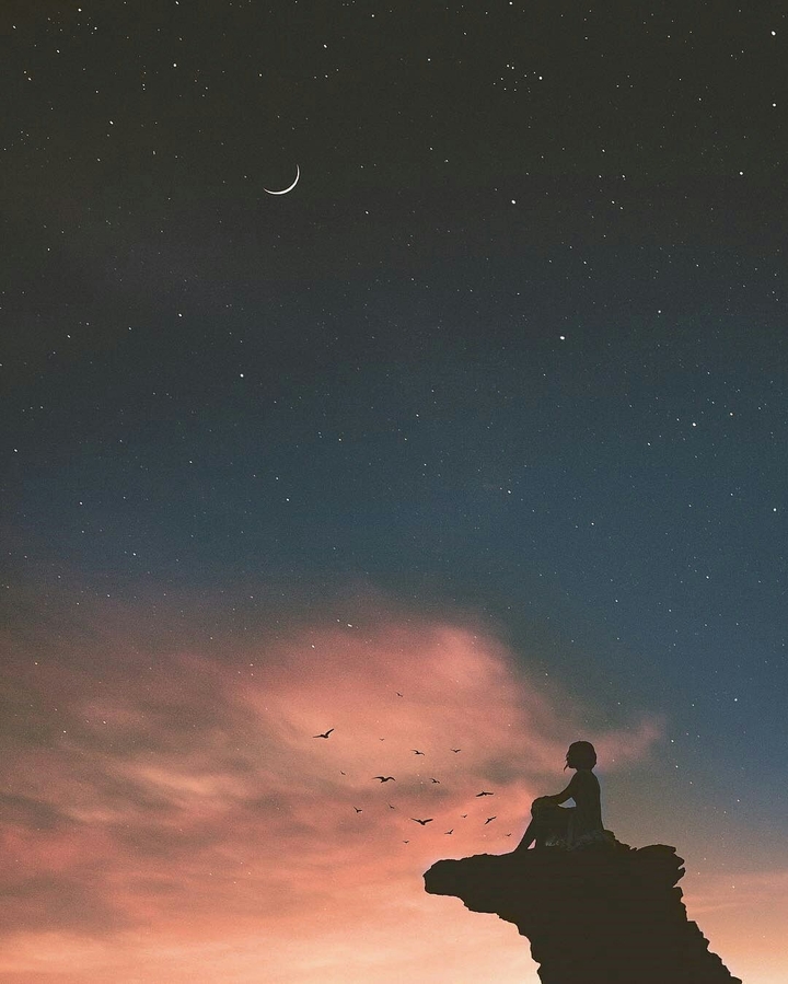 The night sky