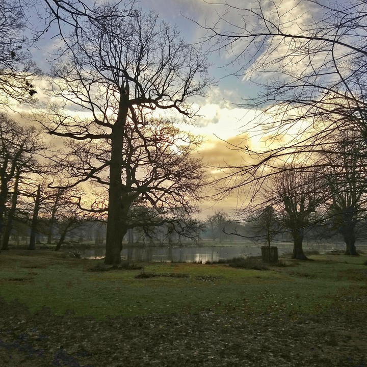 A quiet morning