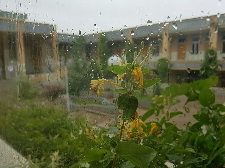 #rainy day