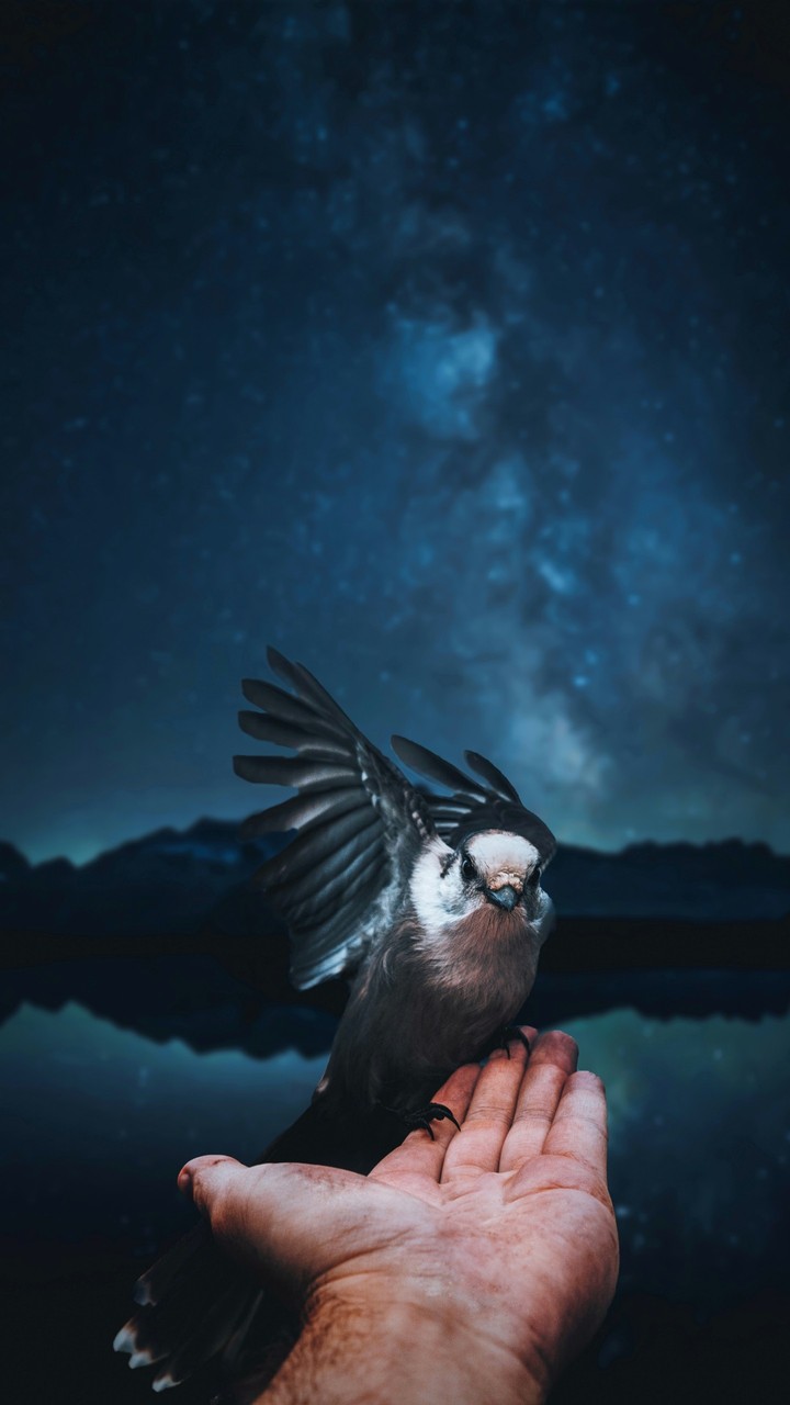 Lets Fly Together