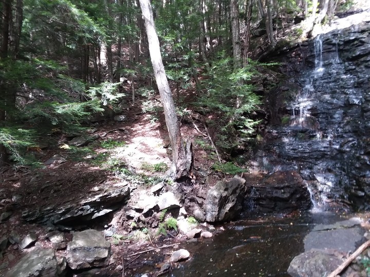 Buttermilk falls
