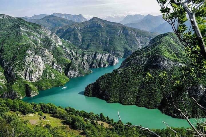 perfect nature