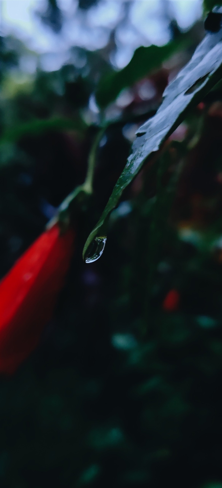 Droplets?